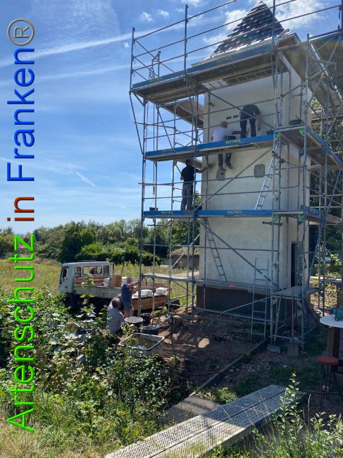 © Artenschutz in Franken® / Keber Bild zum Eintrag (1029861-160)