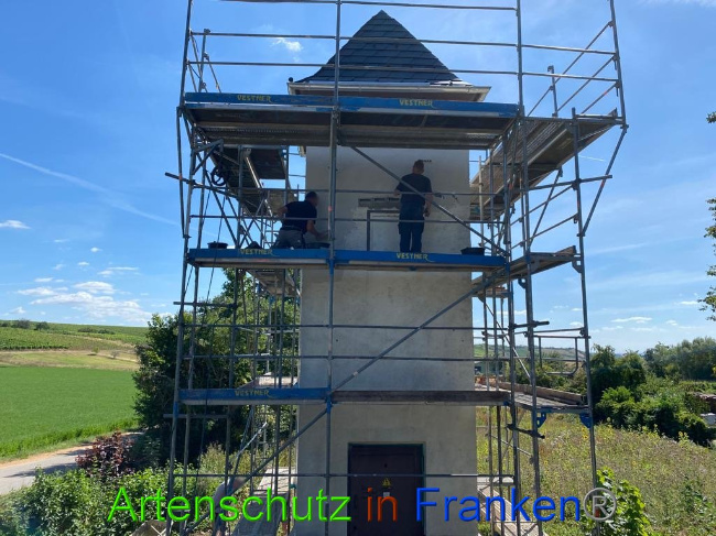 © Artenschutz in Franken® / Keber Bild zum Eintrag (1029862-160)