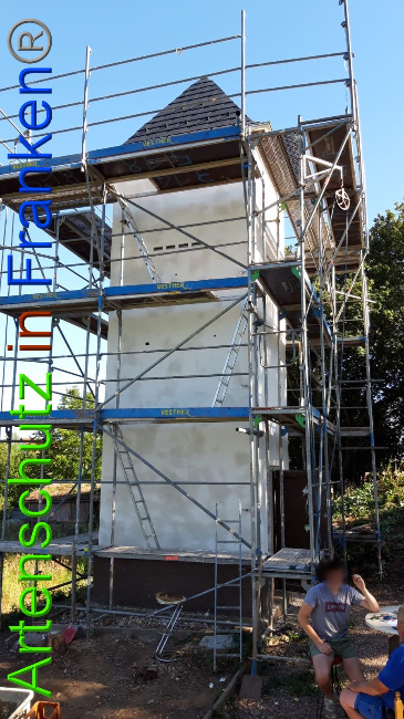 © Artenschutz in Franken® / Keber Bild zum Eintrag (1029873-160)