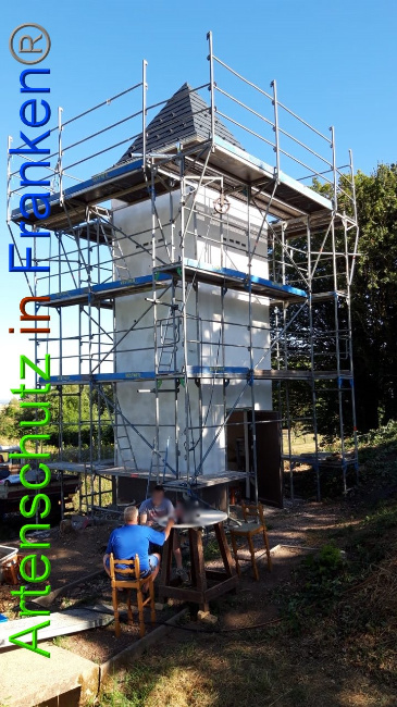© Artenschutz in Franken® / Keber Bild zum Eintrag (1029874-160)