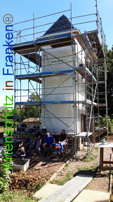 © Artenschutz in Franken® / Keber Bild zum Eintrag (1029876-160)