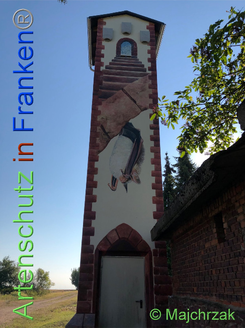 © Artenschutz in Franken® / Majchrzak Bild zum Eintrag (1030451-160)