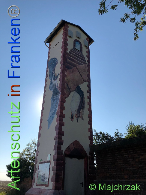 © Artenschutz in Franken® / Majchrzak Bild zum Eintrag (1030454-160)