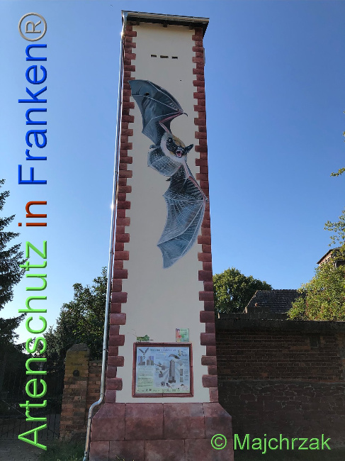 © Artenschutz in Franken® / Majchrzak Bild zum Eintrag (1030455-160)