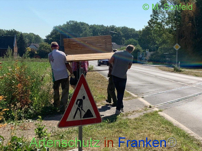 © Artenschutz in Franken® / M.Sonfeld Bild zum Eintrag (1030482-160)