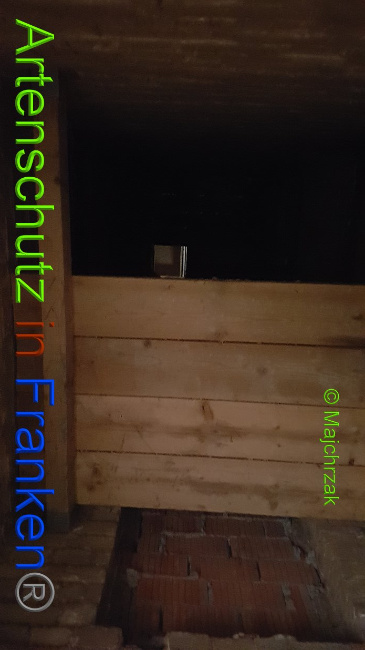 © Artenschutz in Franken® / Majchrzak Bild zum Eintrag (1030825-160)