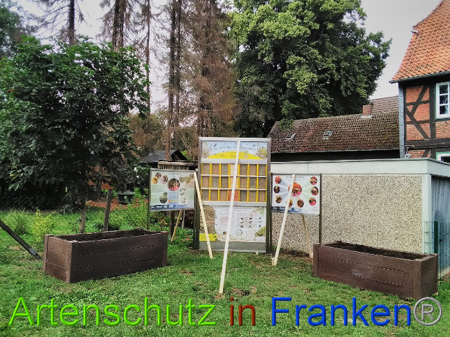 © Artenschutz in Franken® Bild zum Eintrag (1031247-160)