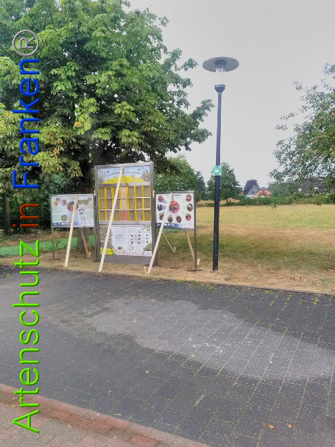 © Artenschutz in Franken® Bild zum Eintrag (1031272-160)
