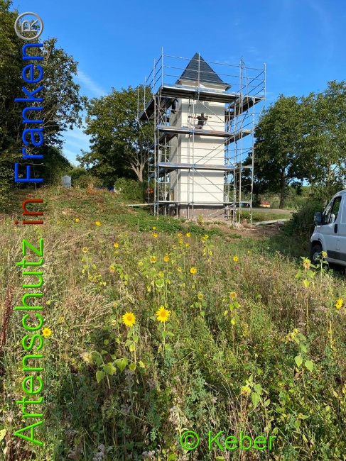 © Artenschutz in Franken® / Keber Bild zum Eintrag (1031299-160)