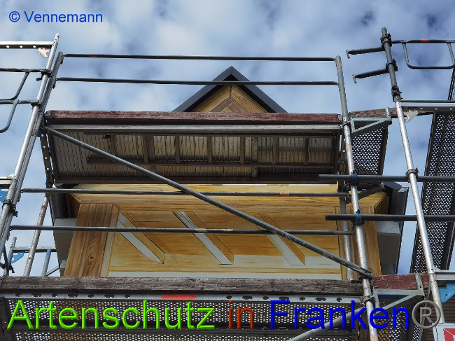 © Artenschutz in Franken® / Vennemann Bild zum Eintrag (1031337-160)