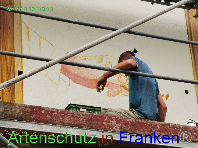© Artenschutz in Franken® / Vennemann Bild zum Eintrag (1031406-160)
