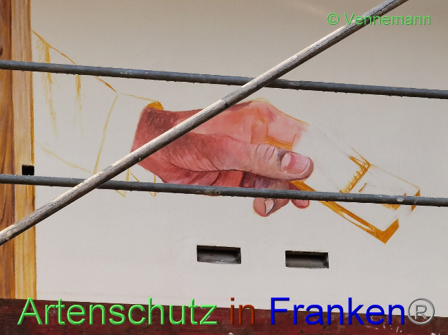 © Artenschutz in Franken® / Vennemann Bild zum Eintrag (1031411-160)