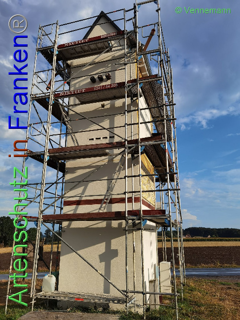 © Artenschutz in Franken® / Vennemann Bild zum Eintrag (1031414-160)