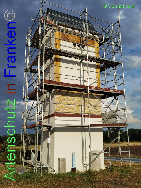 © Artenschutz in Franken® / Vennemann Bild zum Eintrag (1031415-160)