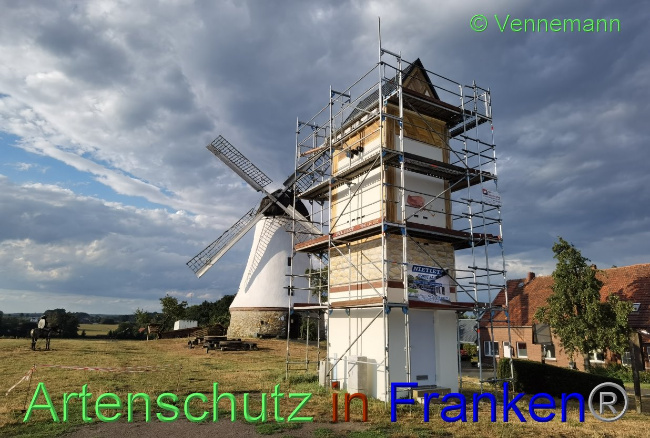 © Artenschutz in Franken® / Vennemann Bild zum Eintrag (1031418-160)