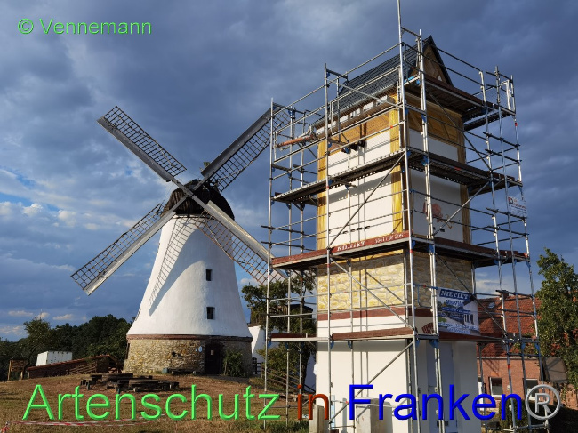 © Artenschutz in Franken® / Vennemann Bild zum Eintrag (1031419-160)