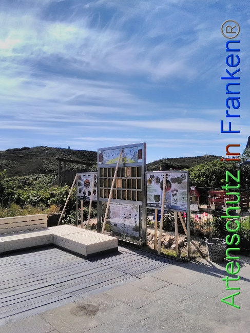 © Artenschutz in Franken® Bild zum Eintrag (1031495-160)