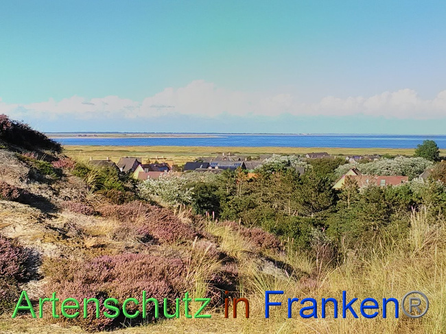 © Artenschutz in Franken® Bild zum Eintrag (1031499-160)