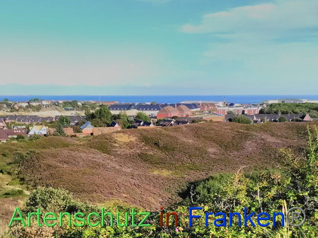 © Artenschutz in Franken® Bild zum Eintrag (1031501-160)