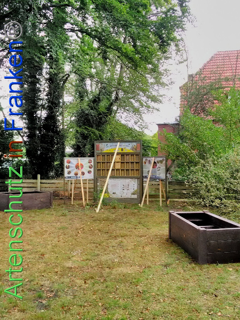 Bild zum Eintrag (1031512-160)