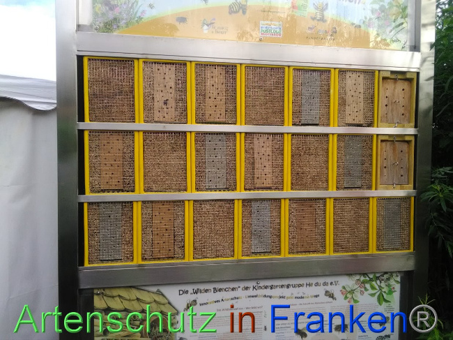 © Artenschutz in Franken® Bild zum Eintrag (1031518-160)
