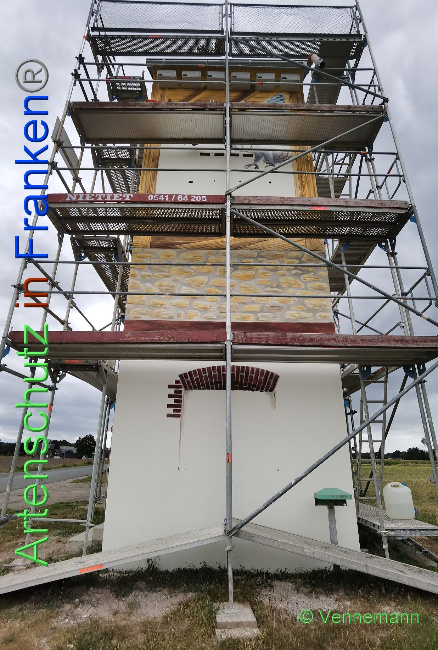 © Artenschutz in Franken® / Vennemann Bild zum Eintrag (1031538-160)