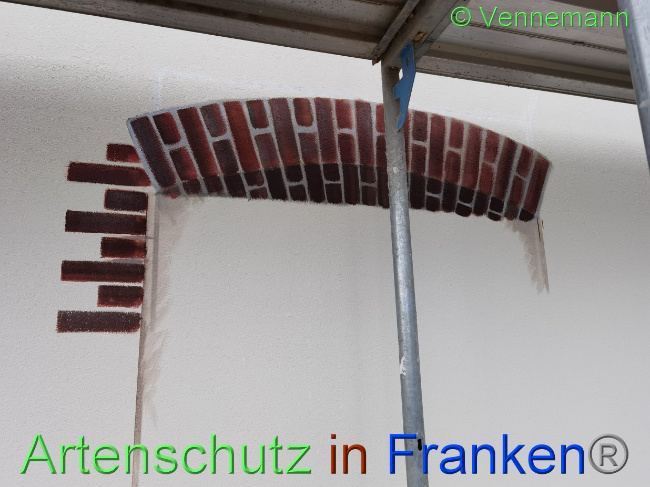 © Artenschutz in Franken® / Vennemann Bild zum Eintrag (1031540-160)