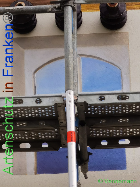 © Artenschutz in Franken® / Vennemann Bild zum Eintrag (1031542-160)