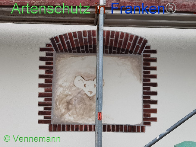 © Artenschutz in Franken® / Vennemann Bild zum Eintrag (1031689-160)