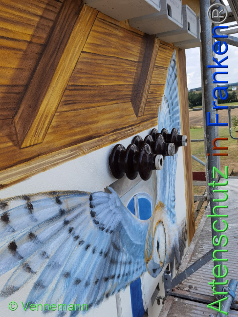 © Artenschutz in Franken® / Vennemann Bild zum Eintrag (1031690-160)