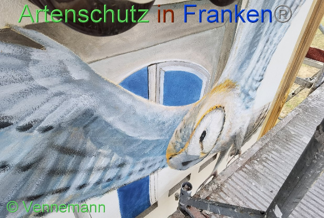 © Artenschutz in Franken® / Vennemann Bild zum Eintrag (1031692-160)