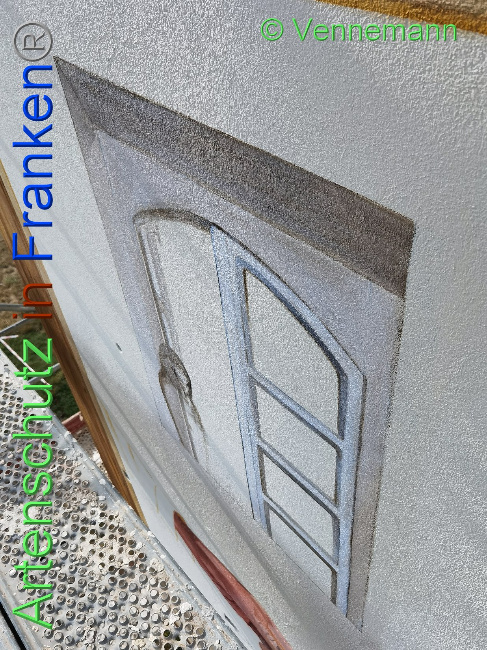 © Artenschutz in Franken® / Vennemann Bild zum Eintrag (1031694-160)