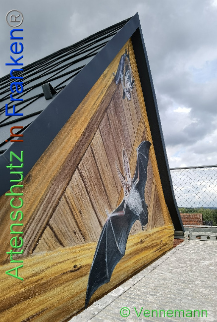 © Artenschutz in Franken® / Vennemann Bild zum Eintrag (1031695-160)