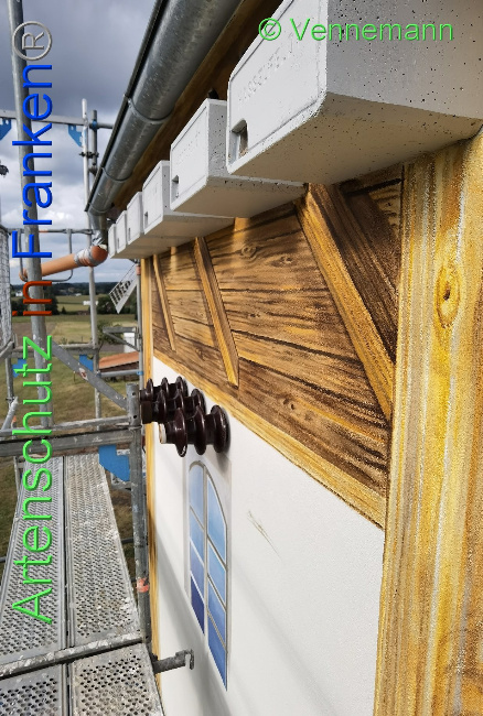 © Artenschutz in Franken® / Vennemann Bild zum Eintrag (1031696-160)