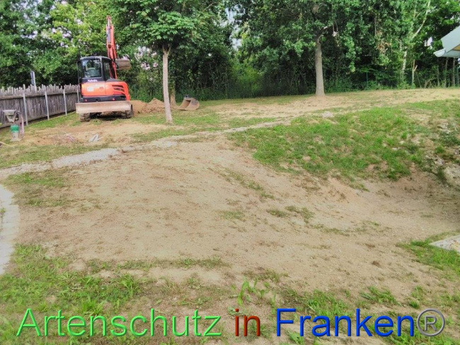 © Artenschutz in Franken® Bild zum Eintrag (1031725-160)