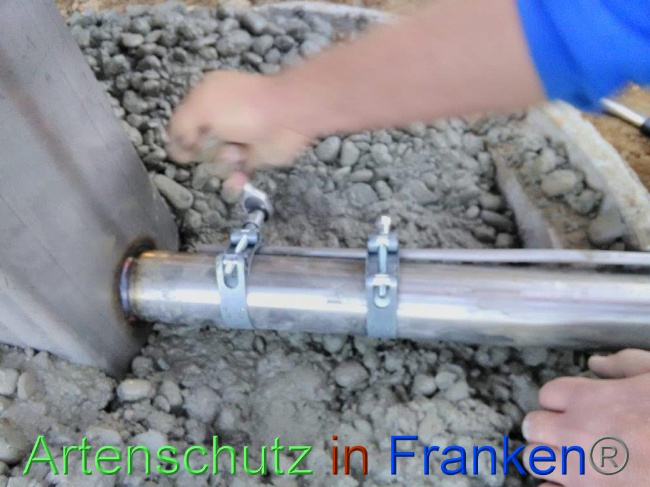© Artenschutz in Franken® Bild zum Eintrag (1031740-160)
