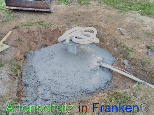 © Artenschutz in Franken® Bild zum Eintrag (1031741-160)