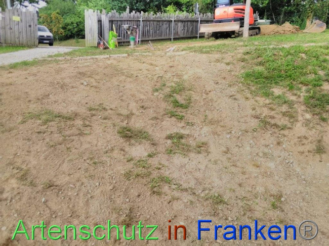 © Artenschutz in Franken® Bild zum Eintrag (1031752-160)