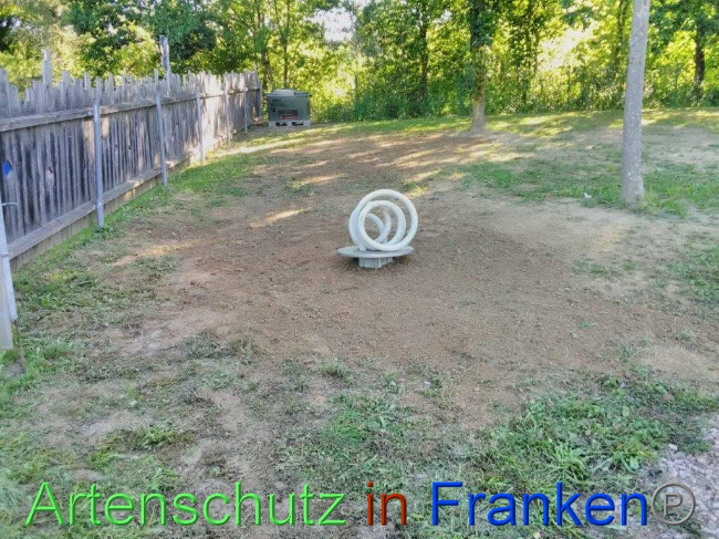 © Artenschutz in Franken® Bild zum Eintrag (1031761-160)