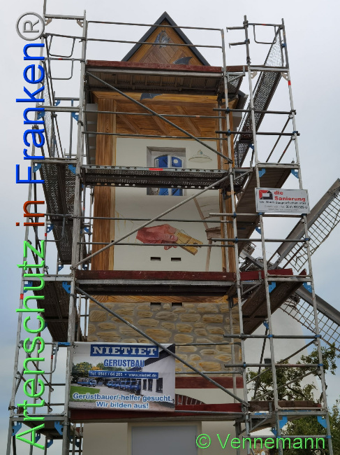 © Artenschutz in Franken® Bild zum Eintrag (1031792-160)
