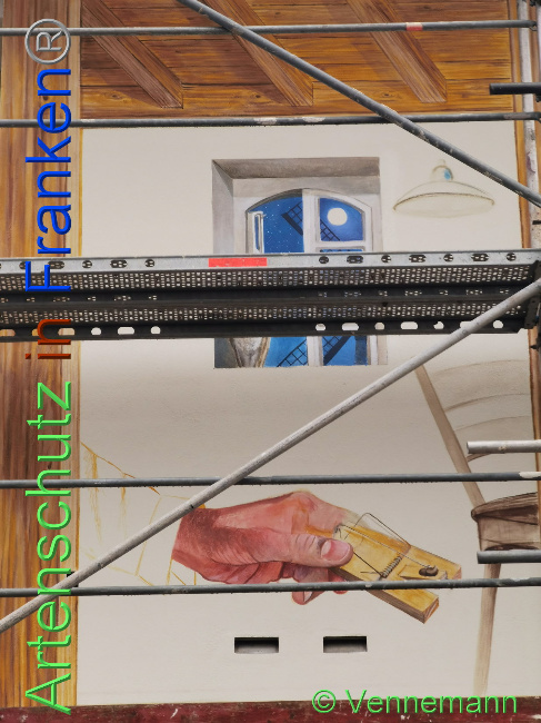 © Artenschutz in Franken® Bild zum Eintrag (1031793-160)
