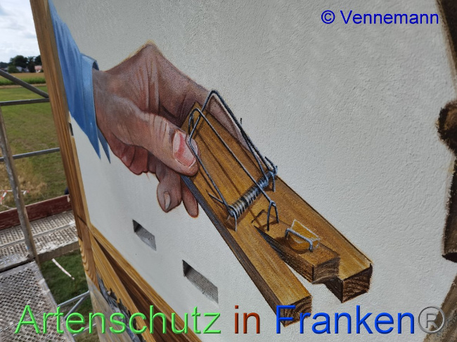 © Artenschutz in Franken® / Vennemann Bild zum Eintrag (1031878-160)