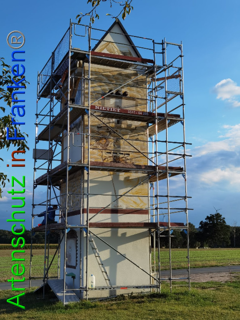 © Artenschutz in Franken® / Vennemann Bild zum Eintrag (1032278-160)