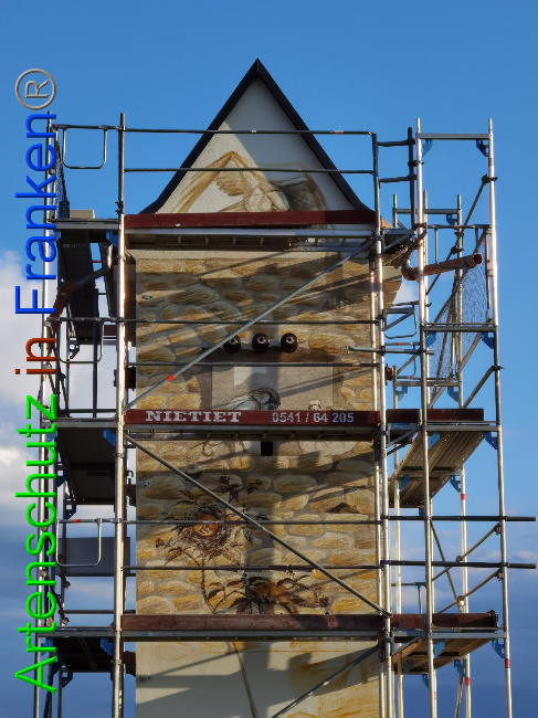 © Artenschutz in Franken® / Vennemann Bild zum Eintrag (1032280-160)