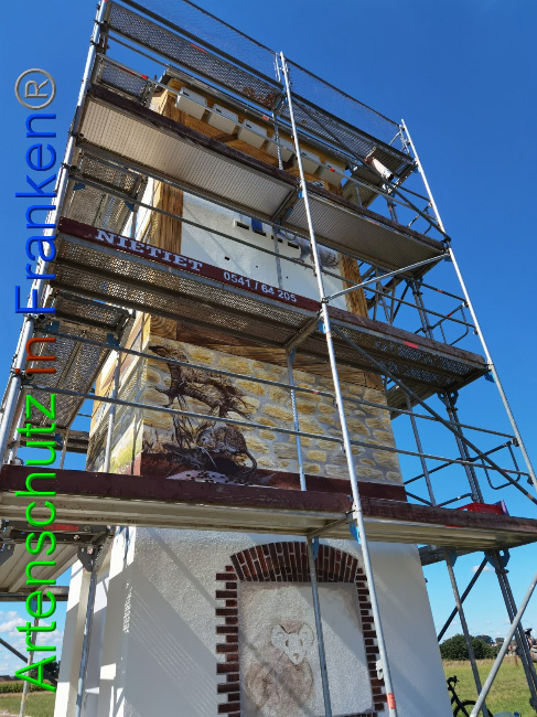 © Artenschutz in Franken® / Vennemann Bild zum Eintrag (1032285-160)