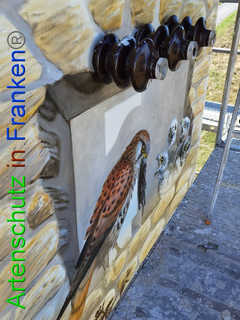 © Artenschutz in Franken® / Vennemann Bild zum Eintrag (1032289-160)