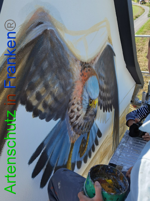 © Artenschutz in Franken® / Vennemann Bild zum Eintrag (1032290-160)