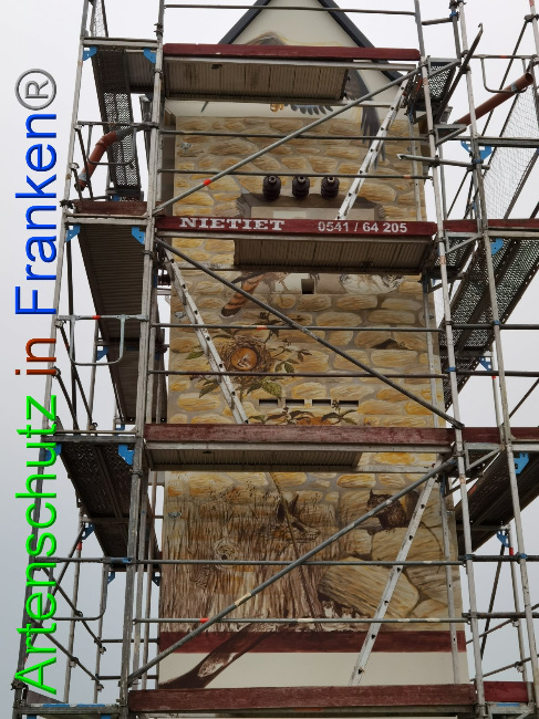 © Artenschutz in Franken® / Vennemann Bild zum Eintrag (1032295-160)