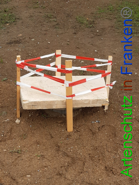 © Artenschutz in Franken® Bild zum Eintrag (1032330-160)
