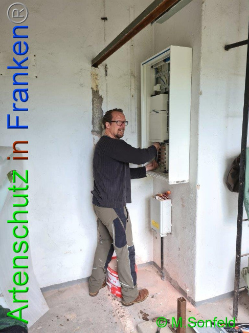 © Artenschutz in Franken® / Sonfeld Bild zum Eintrag (1032511-160)